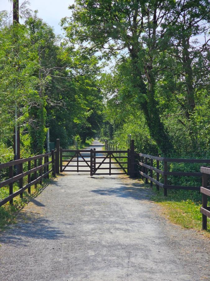 The Koze Leilighet County Leitrim Eksteriør bilde